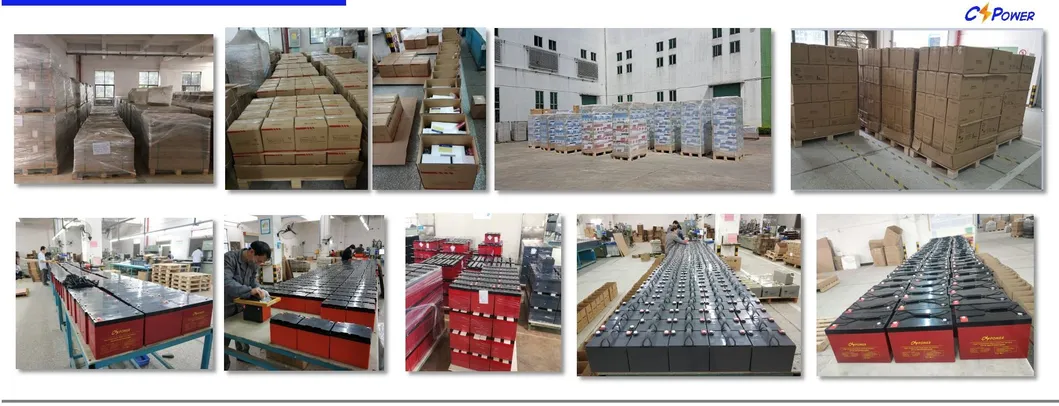 Embalaje de Exportación
