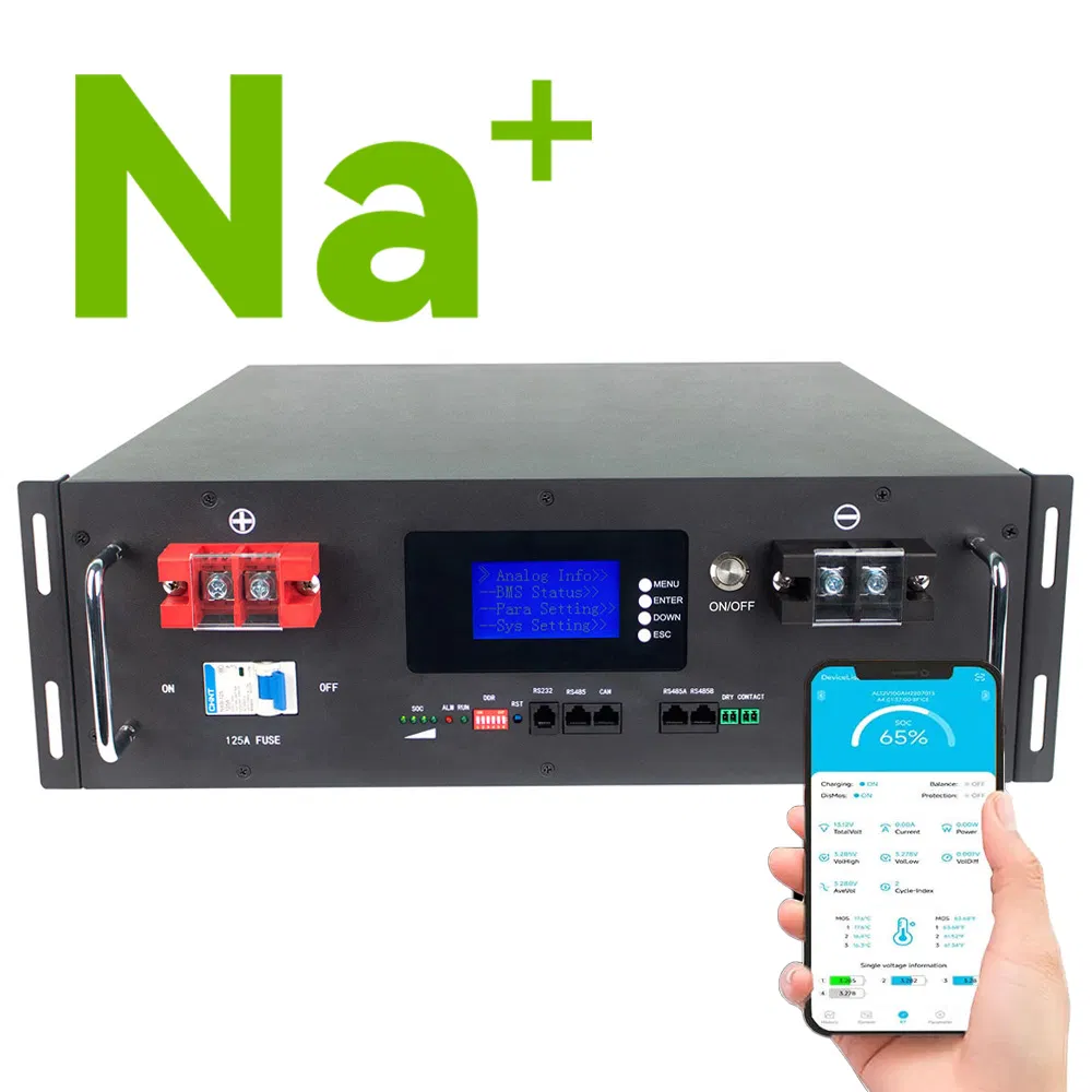 Fábrica Directa 48V 200ah 9.6kwh 10kwh Batería de Sodio en Rack Montada fuera de la Red Batería Solar para Almacenamiento de Energía en el Hogar con Puede RS485 WiFi para Sistema Solar