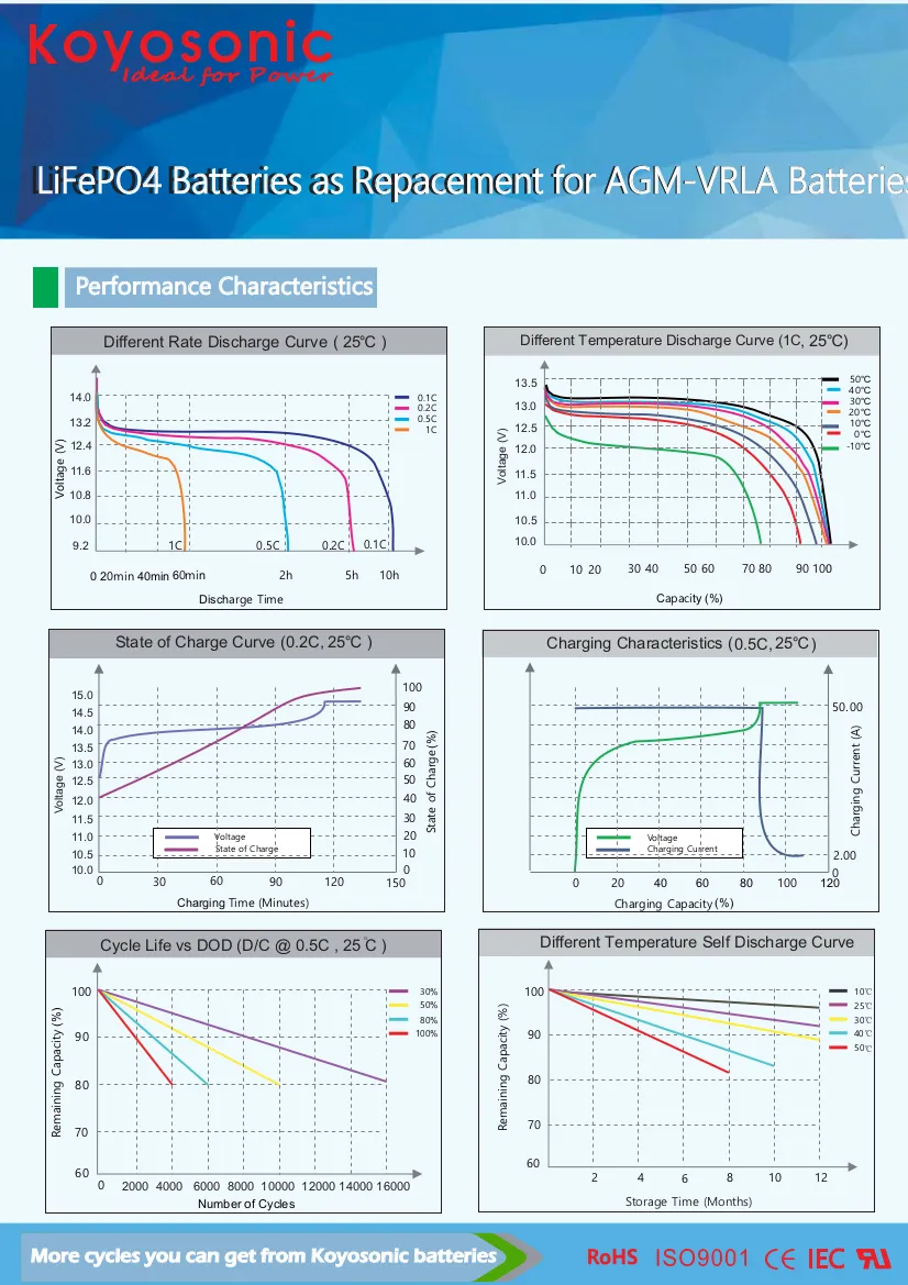 Batería de Ciclo Profundo LiFePO4 de Litio con BMS para Almacenamiento de Energía Solar