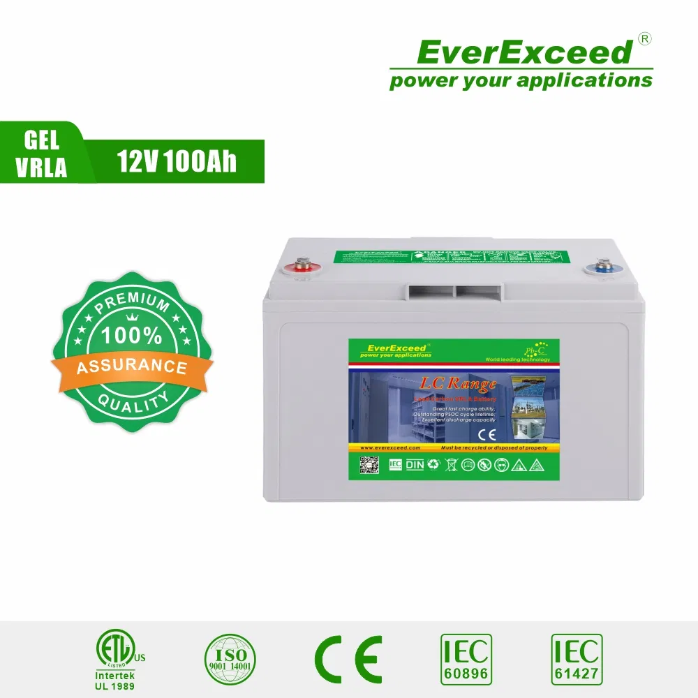 Batería Solar de Ciclo Profundo de Carbono de Plomo Everexceed 12V100ah Pb-C con 20years Vida