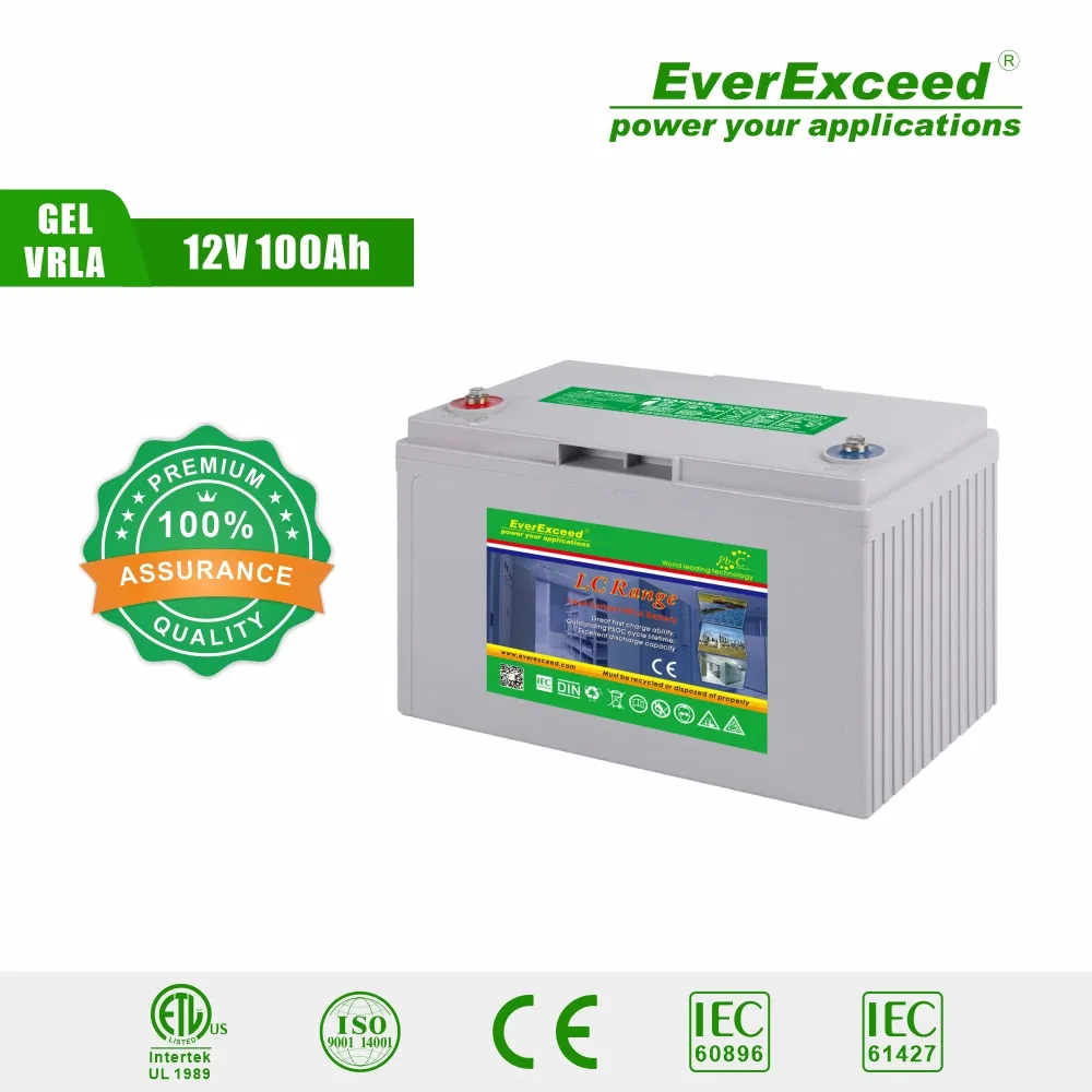 Batería Solar de Ciclo Profundo de Carbono de Plomo Everexceed 12V100ah Pb-C con 20years Vida