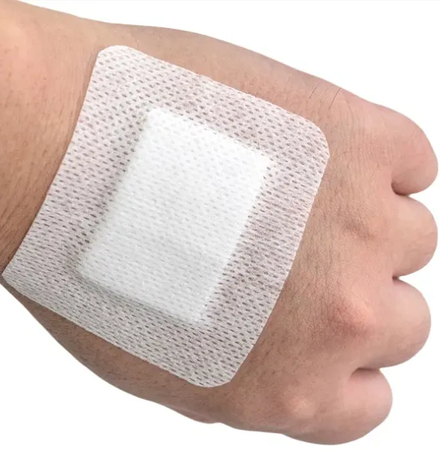 Wound Dressing Detail 1