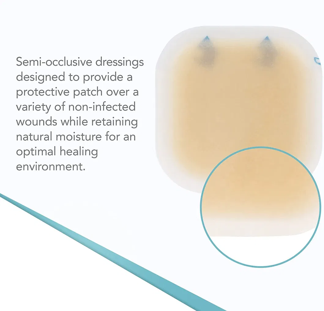 Hydrocolloid Wound Dressing 3