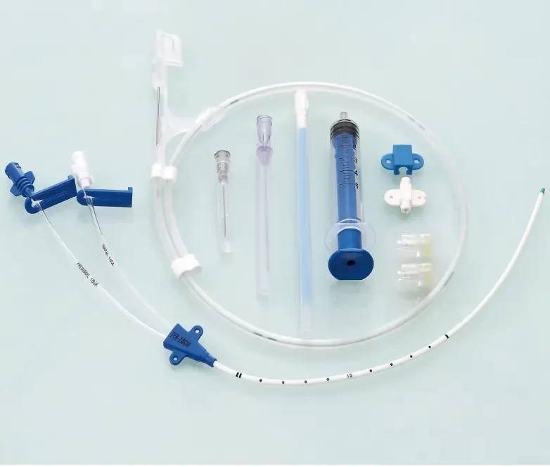 Catheter Setup