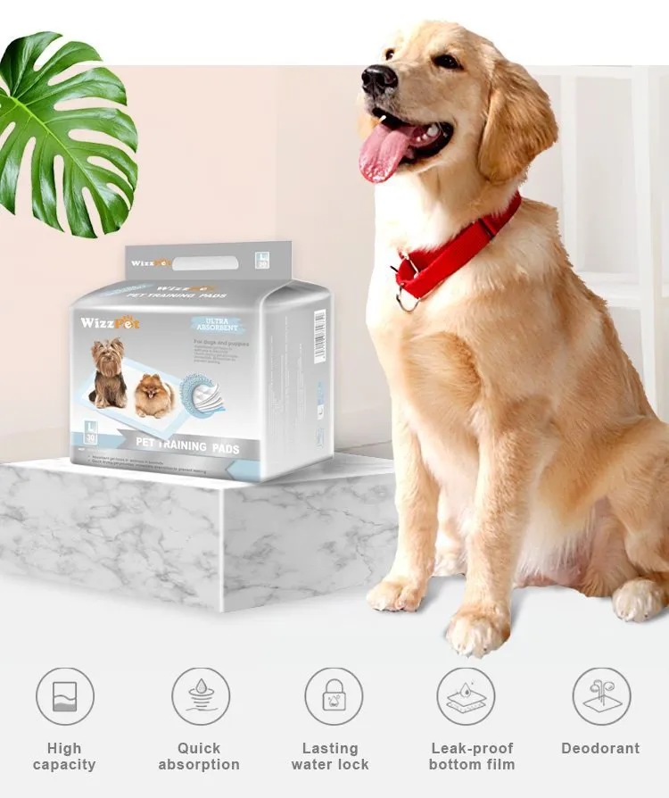 Puppy Training Underpad