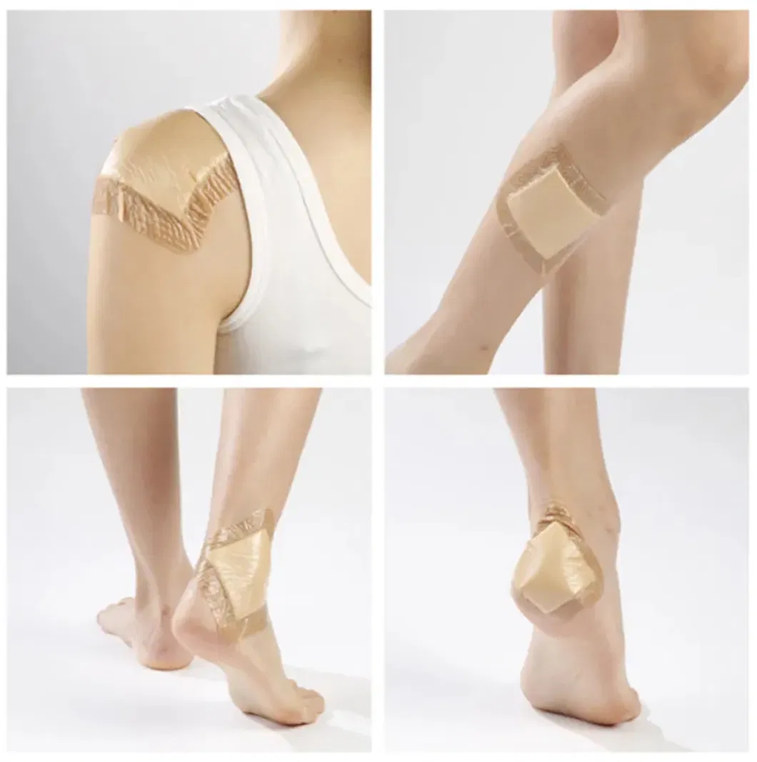 Application Guidelines