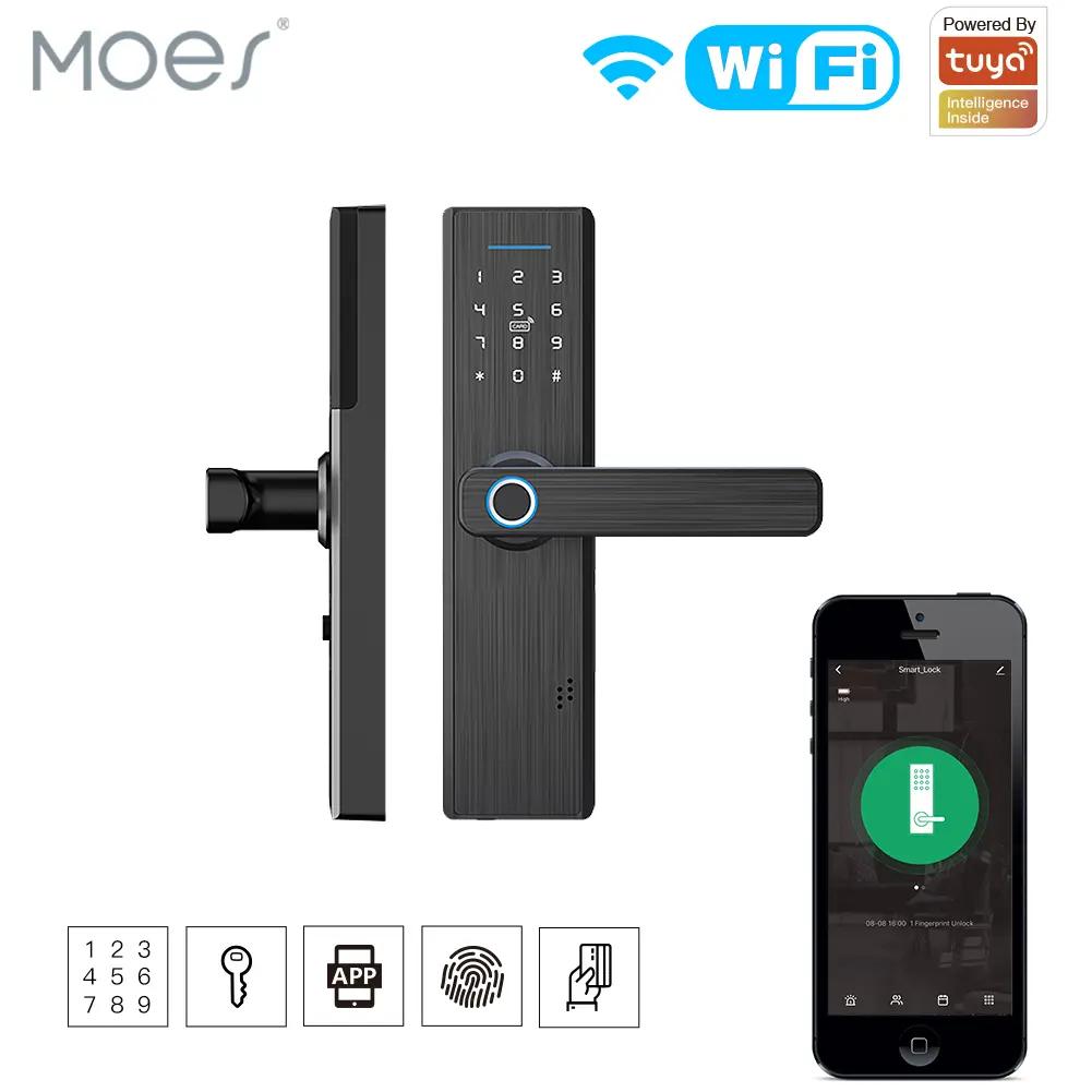 China WiFi Multiple Unlocking Fingerprint Lock, Security Intelligent Lock Factories, Factory