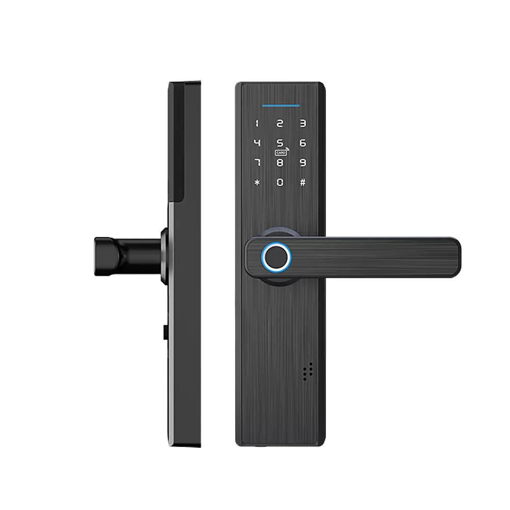 China WiFi Multiple Unlocking Fingerprint Lock, Security Intelligent Lock Factories, Factory