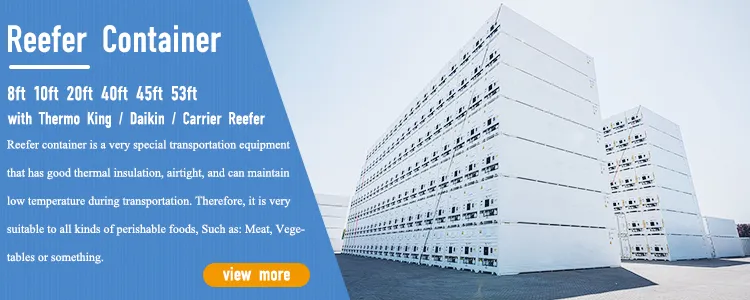 23FT Refrigerator Storage Reefer Container