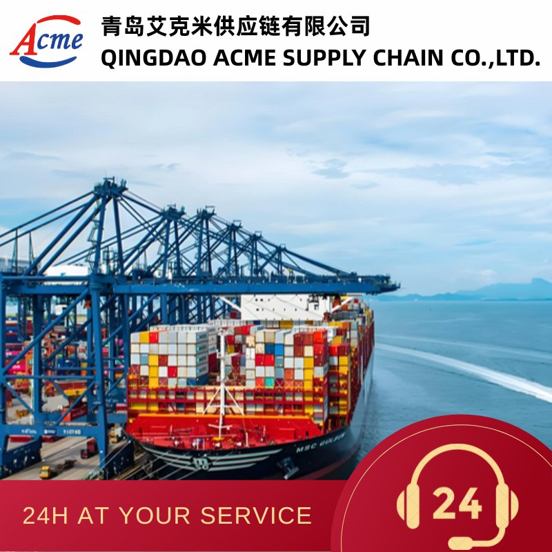 Sea/Rail/Road/Air Shipping Agent From China to Russia
