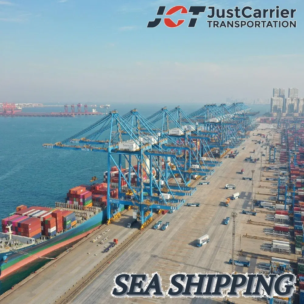 International Container Transportation Sea Freight Forwarder Ocean Shipping Agency to Que Vo/Chulai