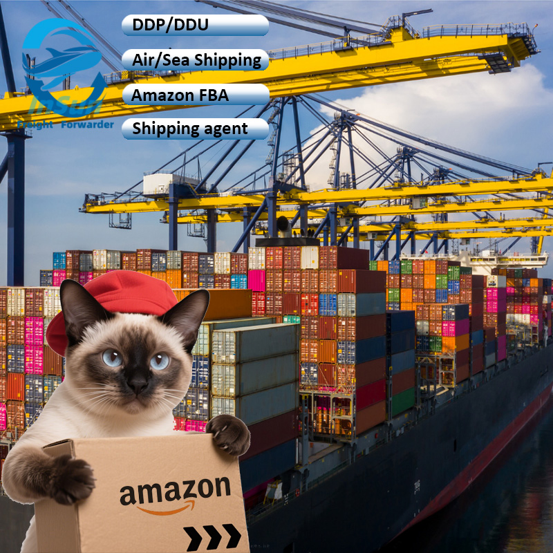 Professional Sea Shipping Amazon Fba Logistics Service From China to Taly Spain Poland Czech Japan USA with Tax Optimization