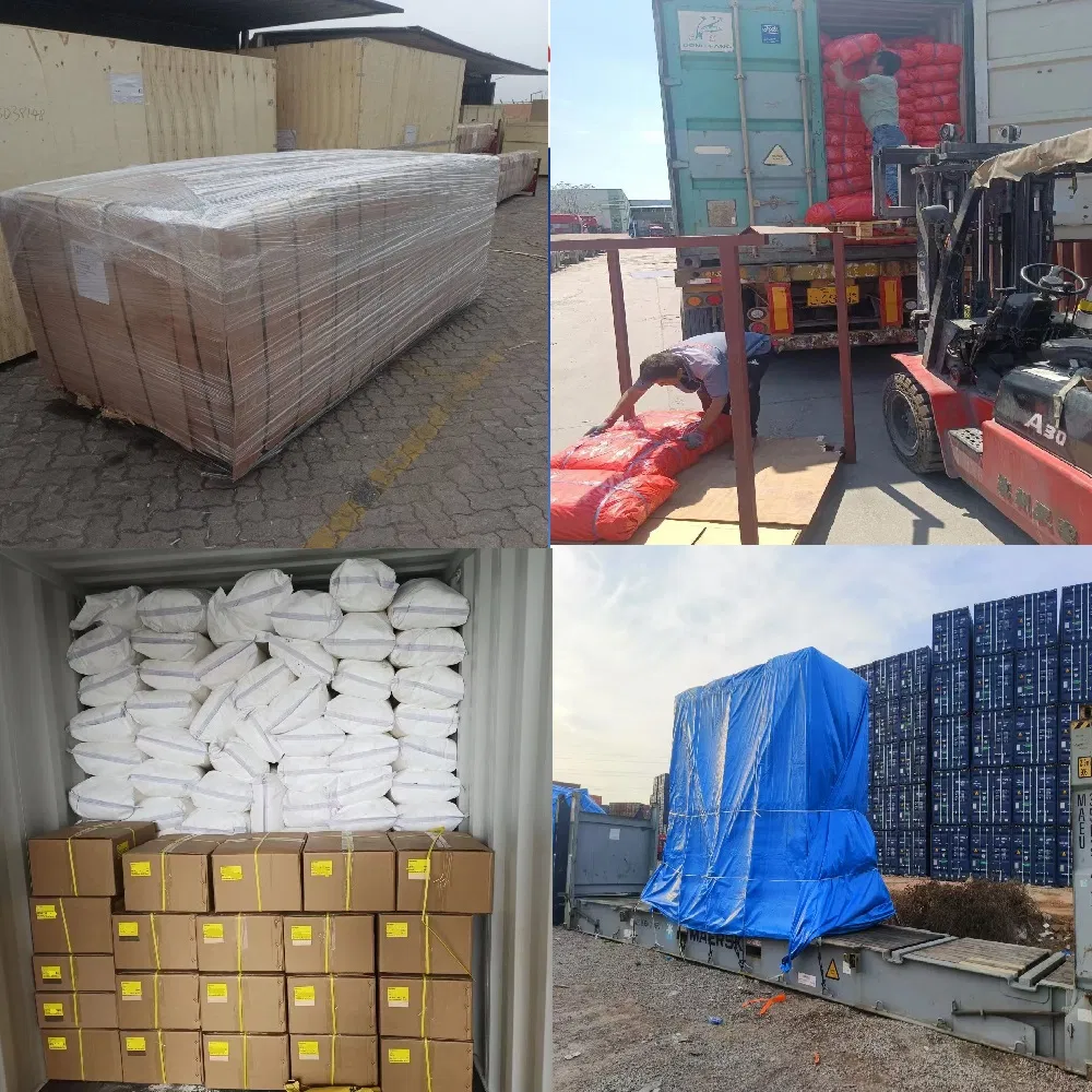 International Container Transportation Sea Freight Forwarder Ocean Shipping Agency to Que Vo/Chulai