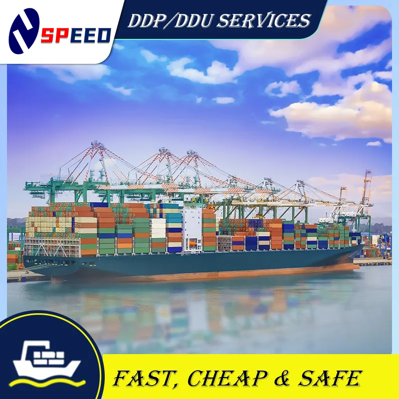 Worldwide China Shenzhen to Belgium FCL LCL DDP Logistics Sea Shipping Forwarding Cargo Service