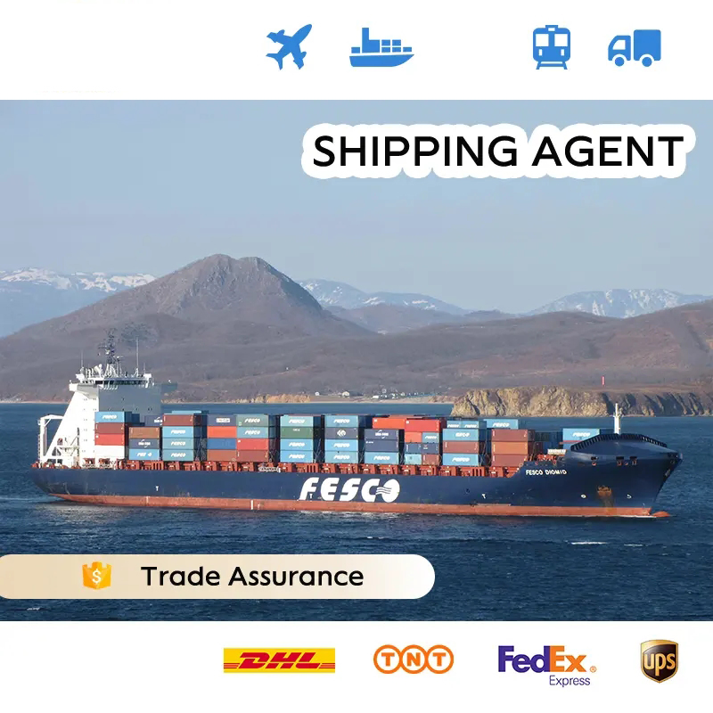 Worldwide China Shenzhen to Belgium FCL LCL DDP Logistics Sea Shipping Forwarding Cargo Service