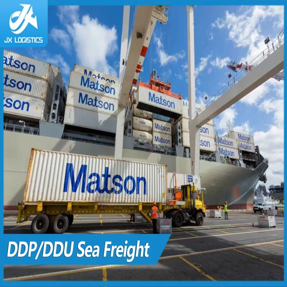 Provide Comprehensive Sea Freight and Freight Forwarding Logistics Services for The World