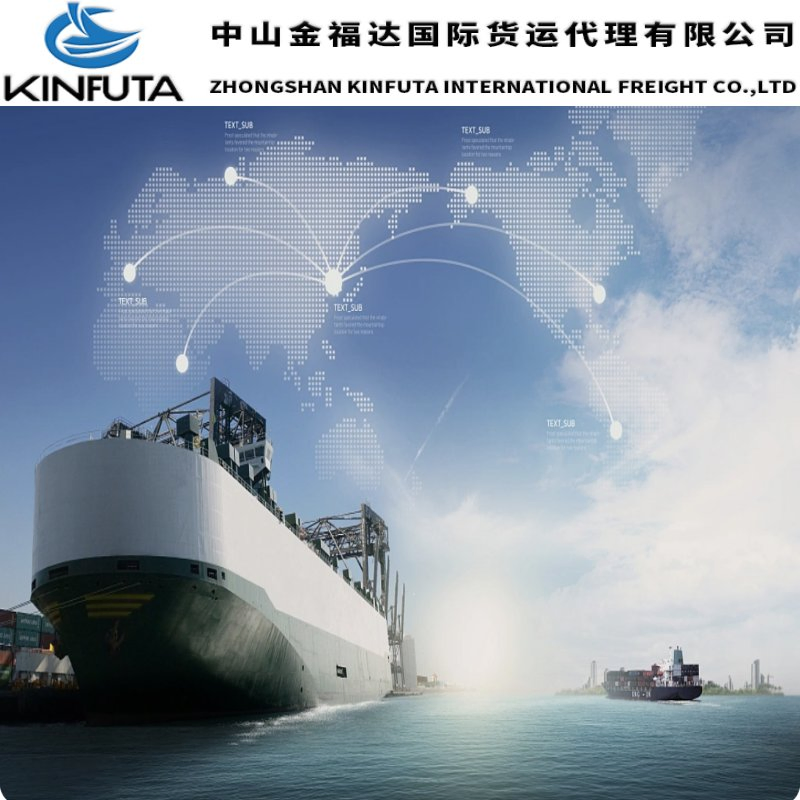 Global Freight Consolidation Network Freight Forwarder Full Load Sea Shipping Agent FCL From China to Hamilton/Kaikohe/Kerikeri/Levin/Masterton/Mt Maunganui