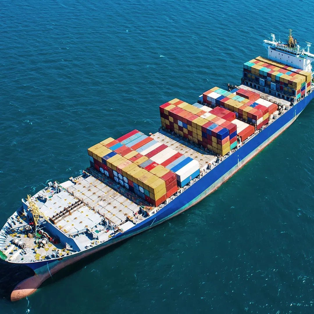 Sea Shipping Agent From China to Algiers, Algeria, USA, Dakar Air Sea Freight Forwarder Container Shipping