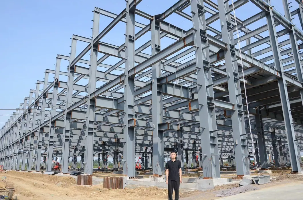 Multi Storey Frame Warehouse