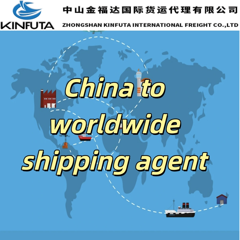International DDU/DDP Sea Freight Shipping From China to USA FCL Full Container Load 20gp 40FT LCL France USA Canada Germany France Spain