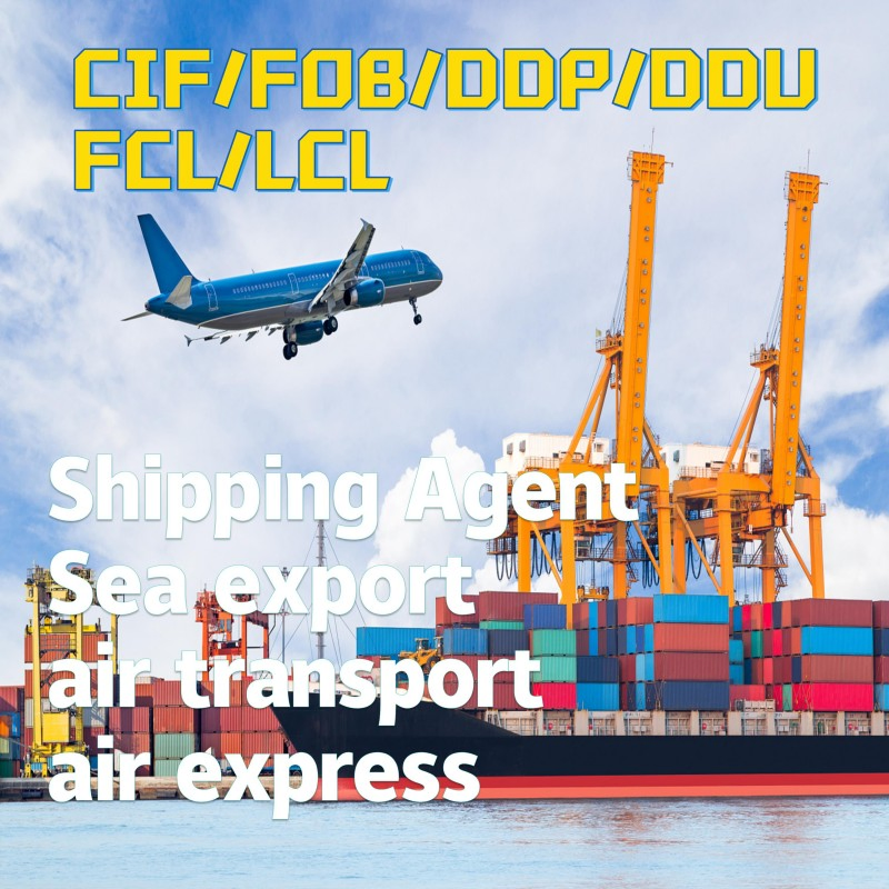 Greece Freight Forwarder Shipping Services From China/Fob/DDP/DDU to Greece, CIF Servies in China, FCL/LCL Freight Shipping in China Tomontenegro/Croatia/Sloven