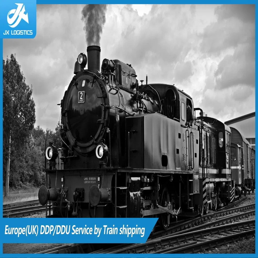 Provide Comprehensive Sea Freight and Freight Forwarding Logistics Services for The World