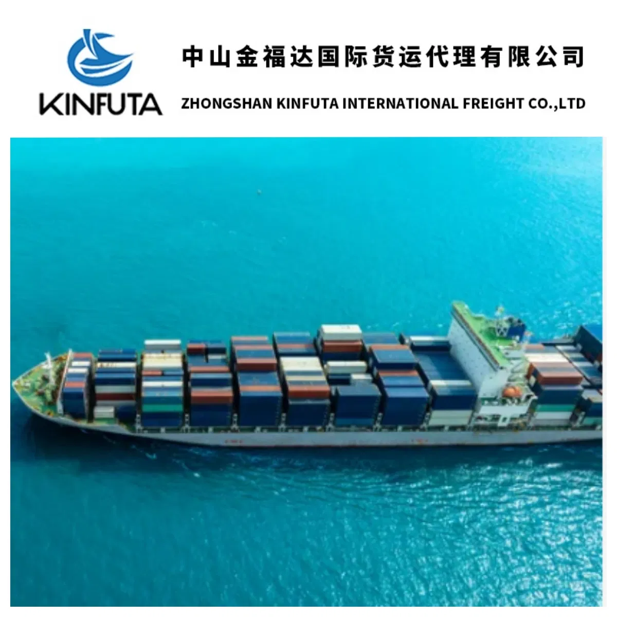 Sea Freight Forwarder Air Freight China Shipping Agent to USA/America/Canada Ocean Container DAP/DDP/DDU Logistics Shipping