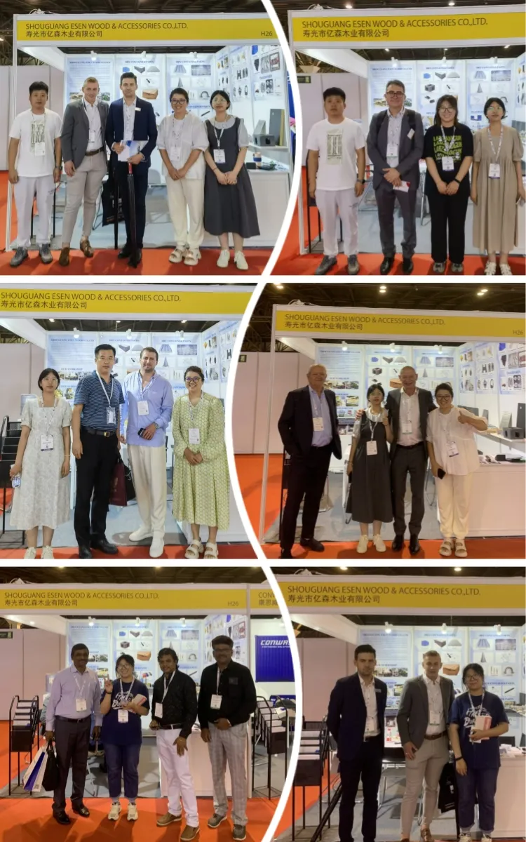 Exhibition Participation