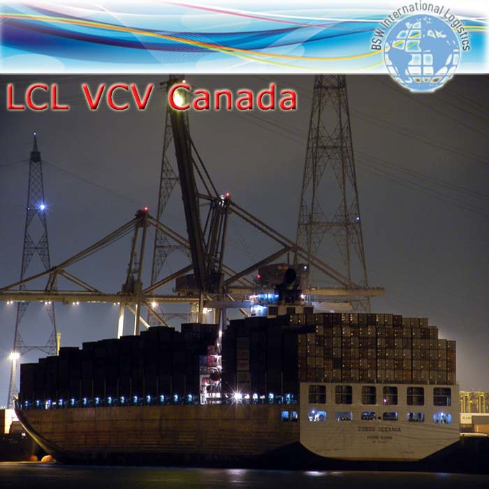 Value-Priced Ocean Sea Freight Forwarding Service From China to Chile Region