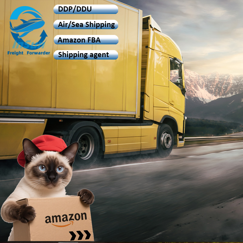 LCL &amp; FCL Shipment Door to Door Sea/Air Freight Customs Clearance Servicer From Shenzhen to Mexico USA Canada