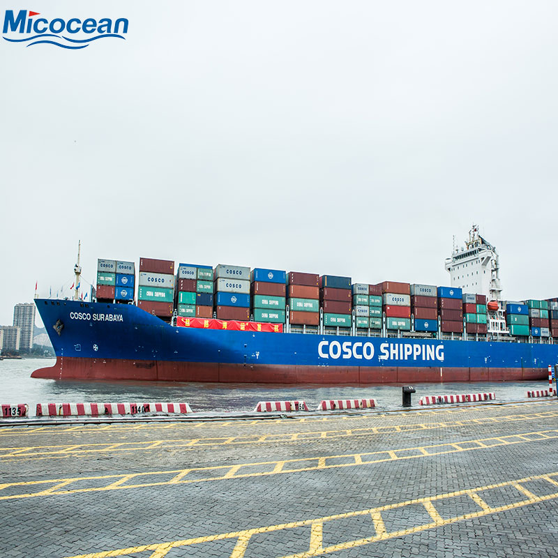 Sea Shipping Professional Forwarder Less Than Container Load Fast Freight DDP DDU to America/Canada