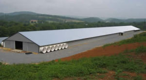 Steel Structure Warehouse for Gas Filling Station