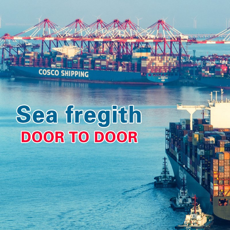 International Forwarding Company Sea Freight Shipping to USA/Canada/Mexico Door to Door Service