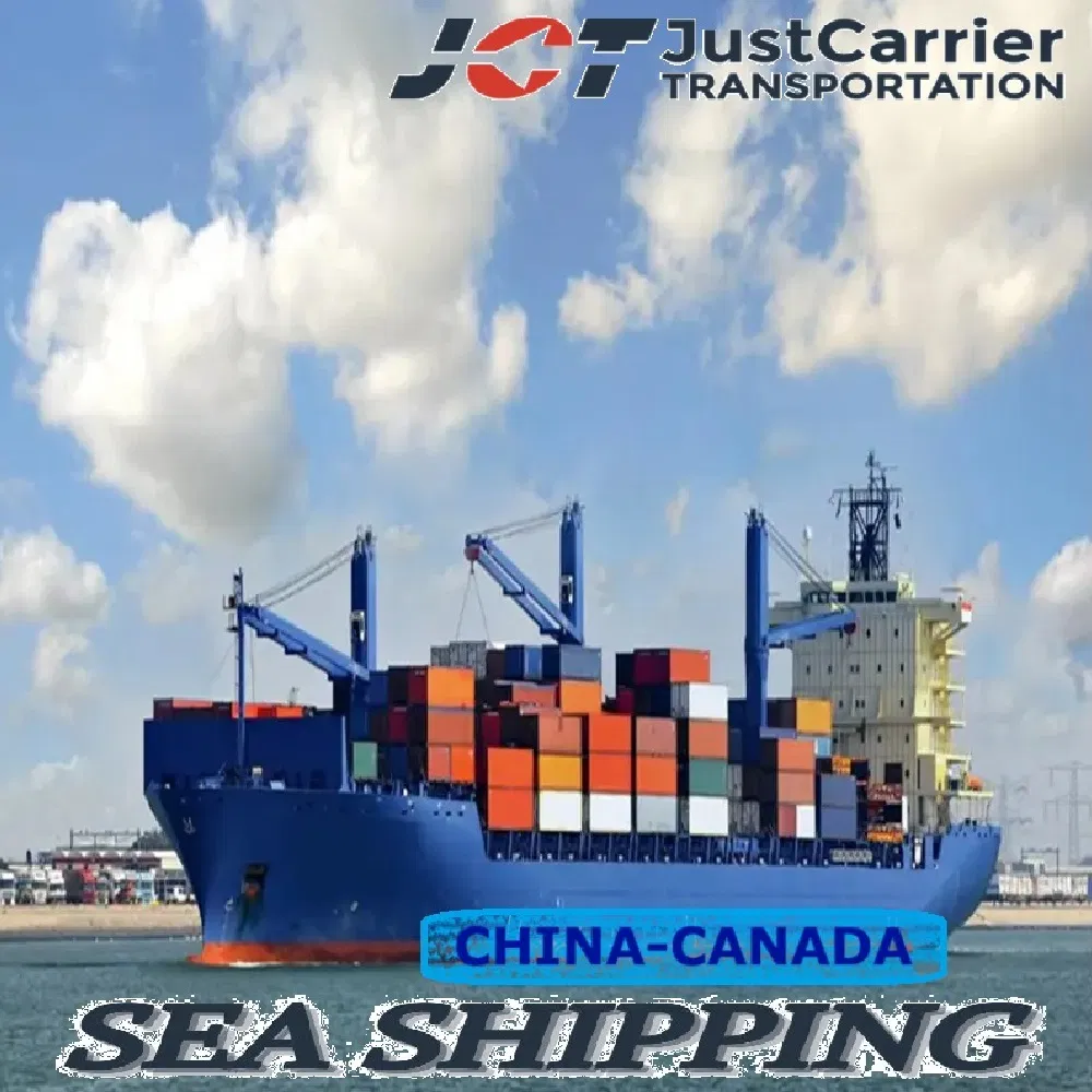 Shipping Container Agent Sea Freight Forwarder DDU DDP From China to Canada