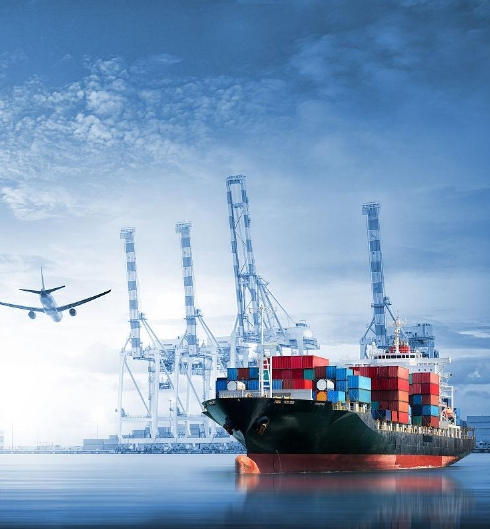 Sea Shipping Shenzhen Freight Forwarder to Sudan/Aden/Mersin/Djibout 20FT and 40FT