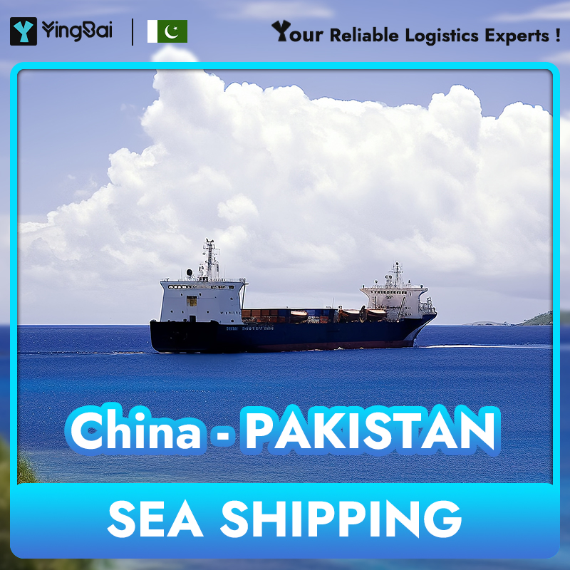 Pakistan Sea Shipping Freight Provider Ningbo Yingbai Logistics Cherry Pitter Ship to Your Country