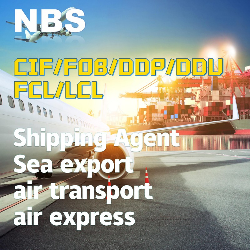 Greece Freight Forwarder Shipping Services From China/Fob/DDP/DDU to Greece, CIF Servies in China, FCL/LCL Freight Shipping in China Tomontenegro/Croatia/Sloven