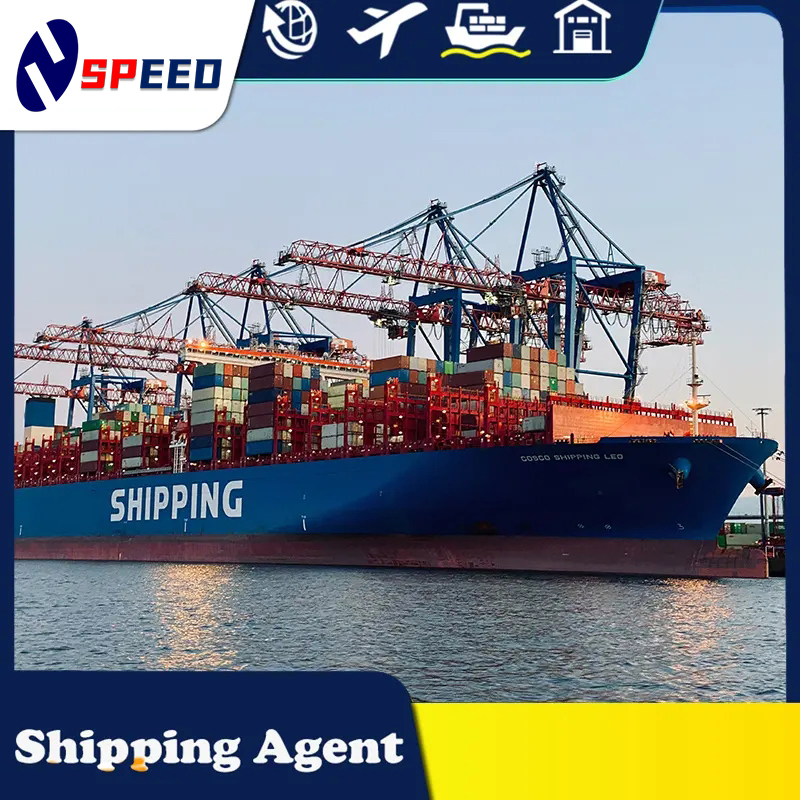Worldwide China Shenzhen to Belgium FCL LCL DDP Logistics Sea Shipping Forwarding Cargo Service