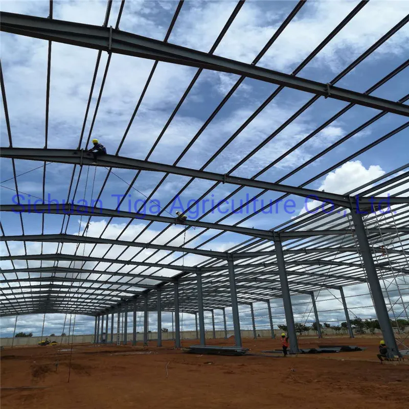 Steel Structure Warehouse 5
