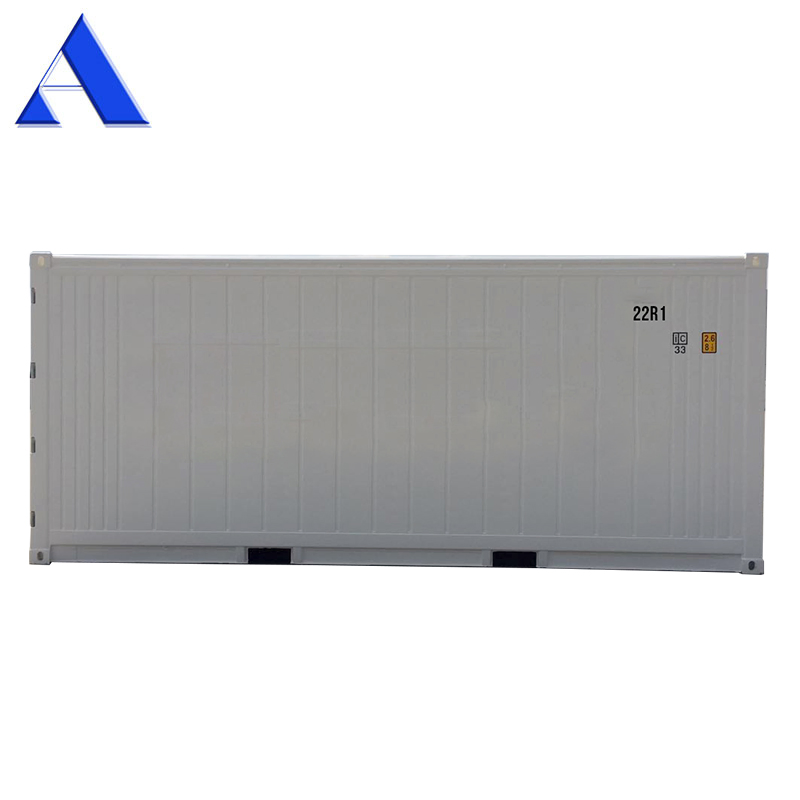 New Thermo King Freezer 6 Meter Length 20FT Reefer Container