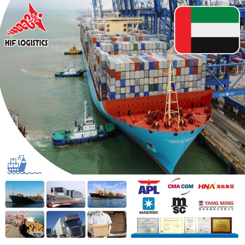 Reliable Sea Freight Forwarding Services to UAE and Saudi Arabia