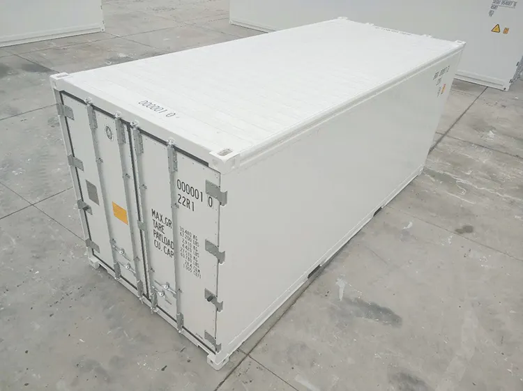 20FT Reefer Container View 3