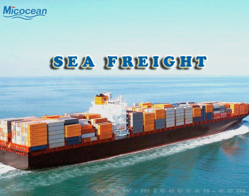 Professional Sea Freight Forwarder Shipping From Chinashanghai/Guangzhou/Shenzhen/Ningbo/Tianjin to Europe, USA, Canada, Australia, Japan, Korea
