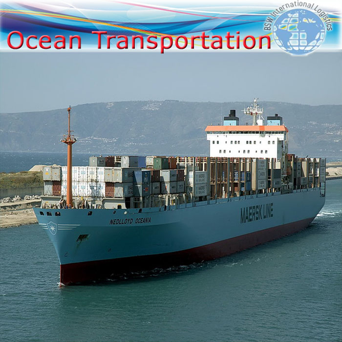 Value-Priced Ocean Sea Freight Forwarding Service From China to Chile Region