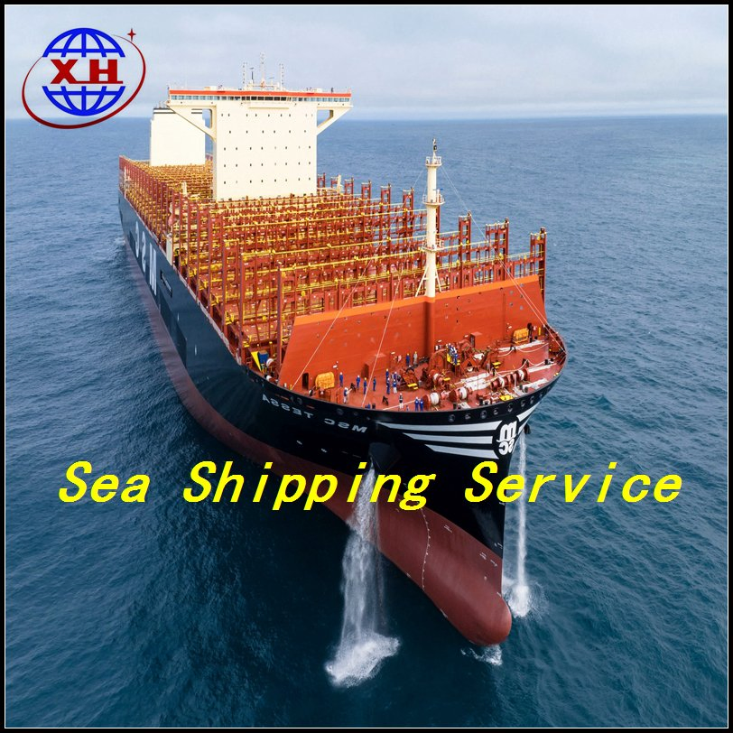 FCL LCL 20 Gp 40gp 40hq Container Sea Freight Forwarder From China To USA