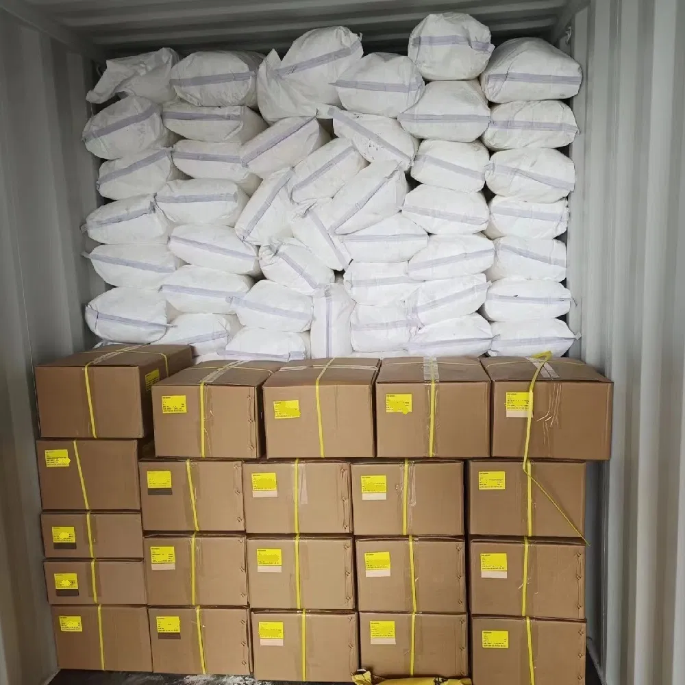 FCL/LCL/DDU/DDP Sea Freight Ocean Shipping Agent Container Logistics Service to Regina, Canada