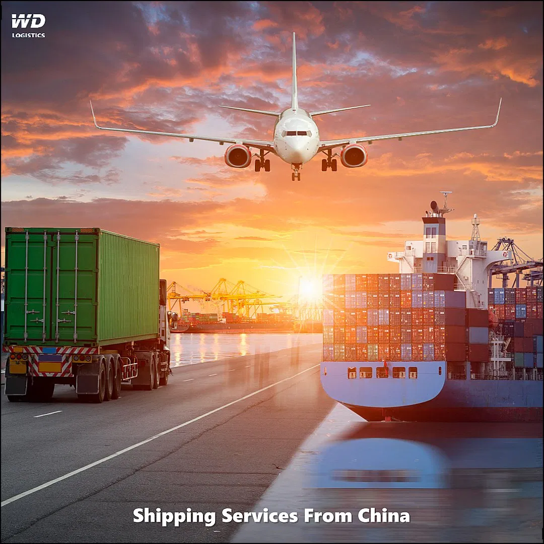 Shipping Forwarding Agent From China to Worldwide Ocean Freight Forwarding Service