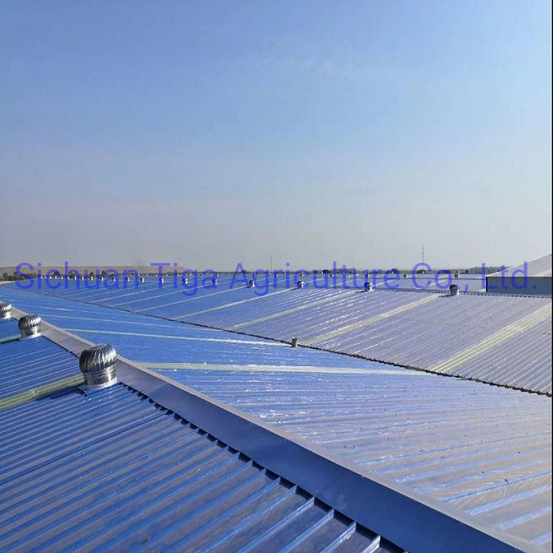 Pre-Engineered Long Span Industrial Construction Building Prefabaricated Steel Structure Warehouse