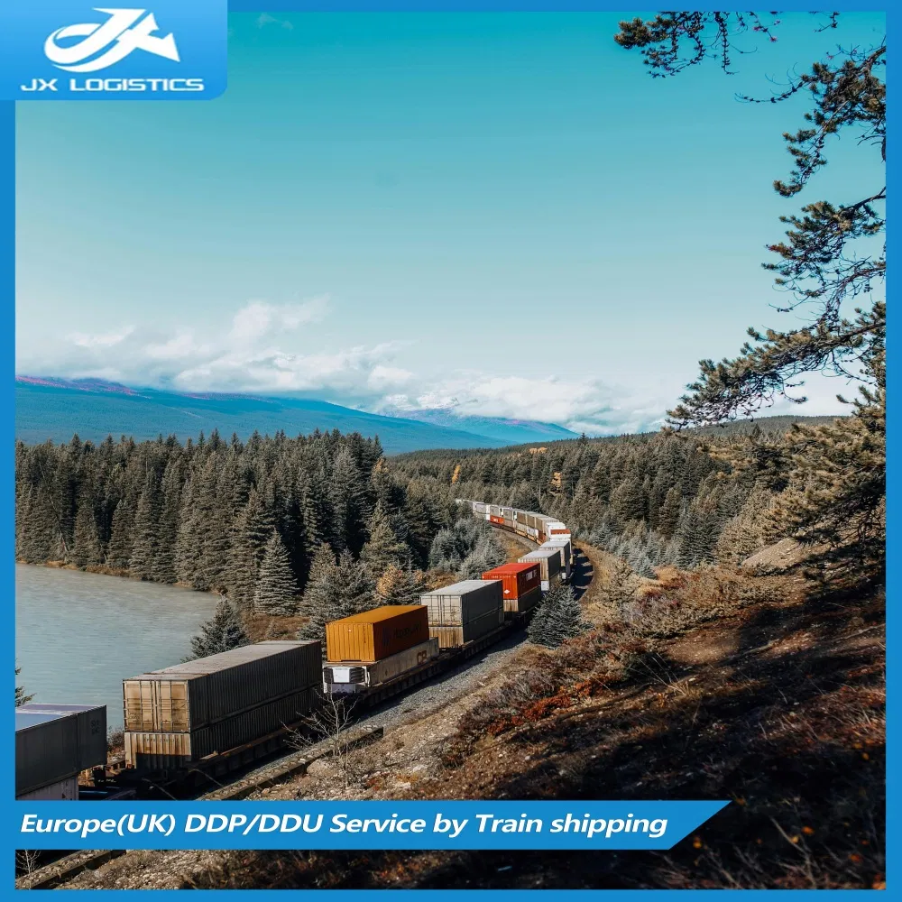 Provide Comprehensive Sea Freight and Freight Forwarding Logistics Services for The World