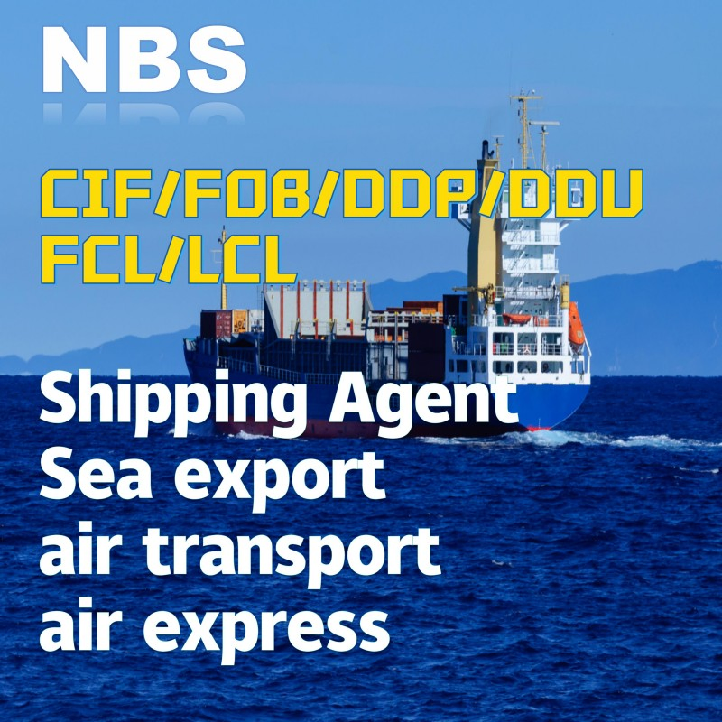 Greece Freight Forwarder Shipping Services From China/Fob/DDP/DDU to Greece, CIF Servies in China, FCL/LCL Freight Shipping in China Tomontenegro/Croatia/Sloven